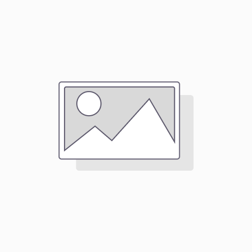QGIS AVANZADO 