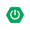 Spring Boot Developer